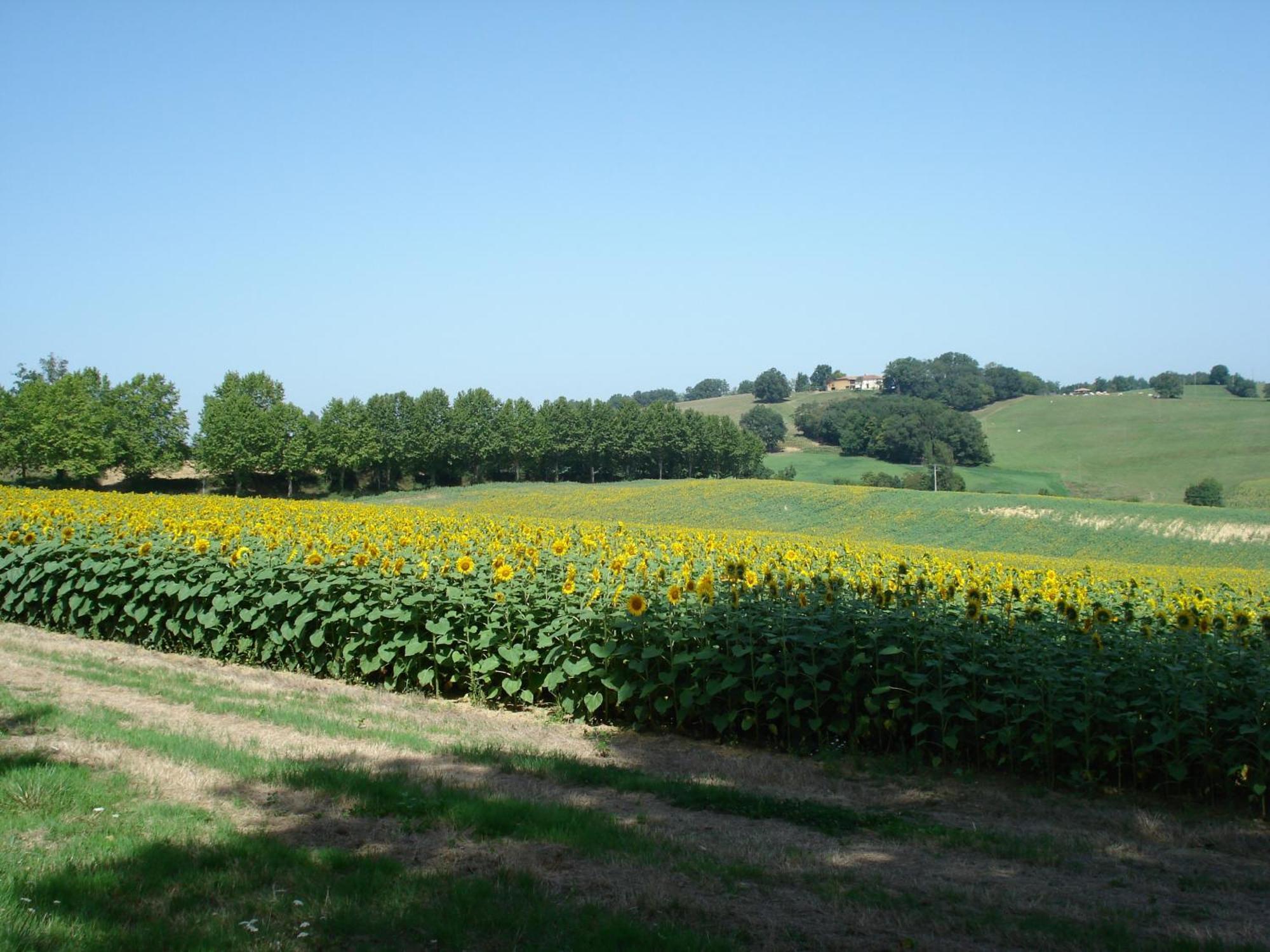 Relais Du Chateau Ξενοδοχείο Saint-Blancard Εξωτερικό φωτογραφία