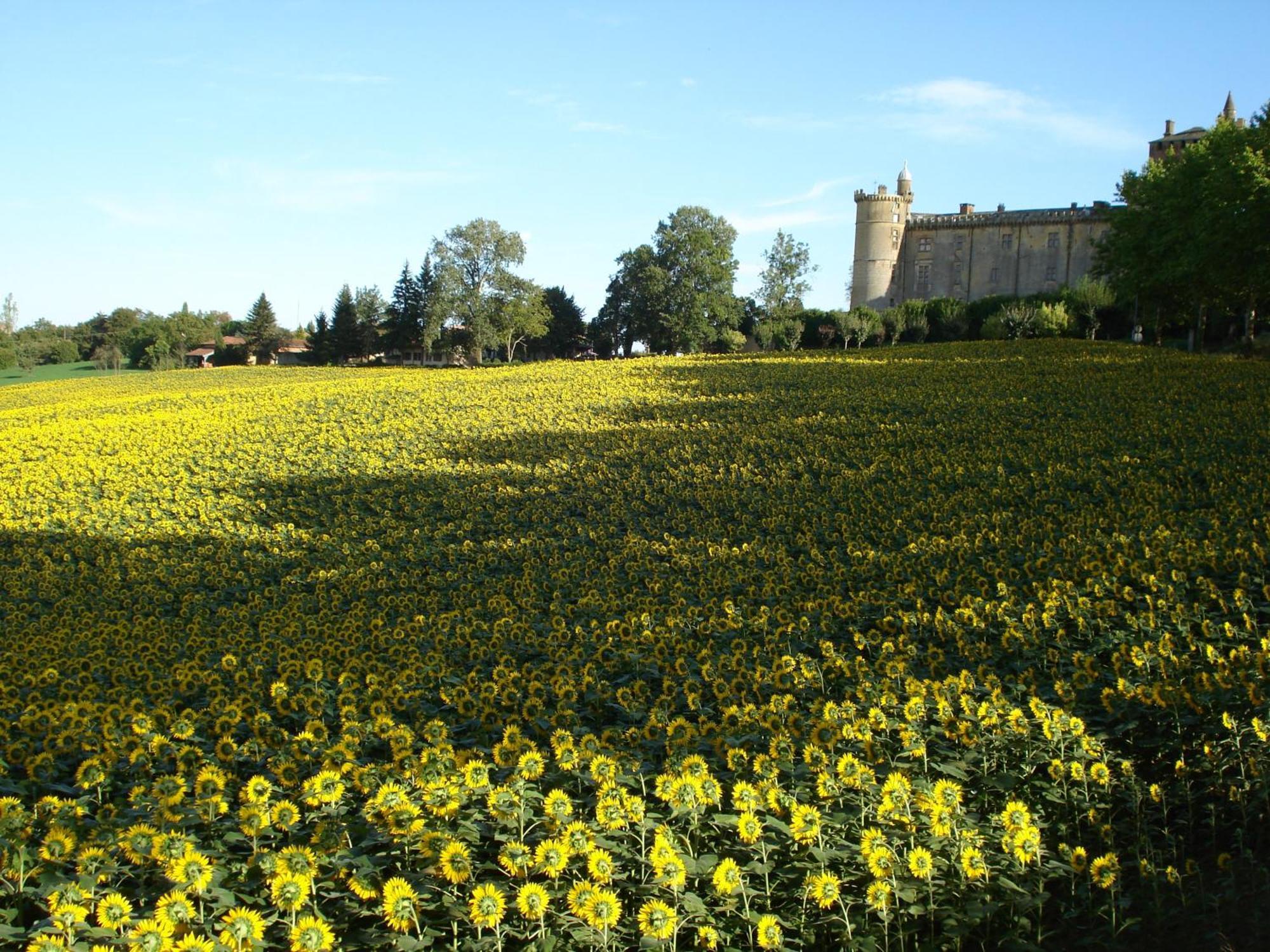 Relais Du Chateau Ξενοδοχείο Saint-Blancard Εξωτερικό φωτογραφία